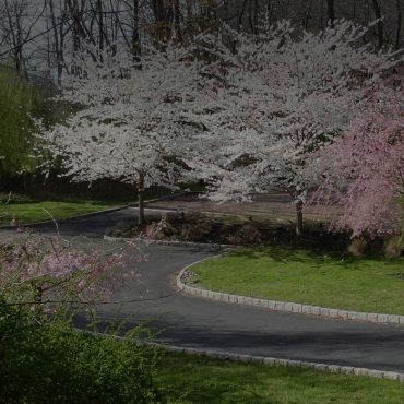 driveway-darkened-2_1440x700