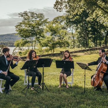 Violinists