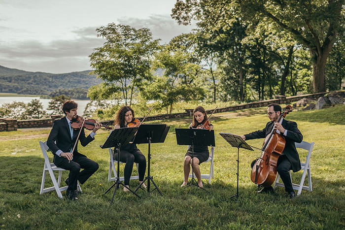 Violinists Violinists